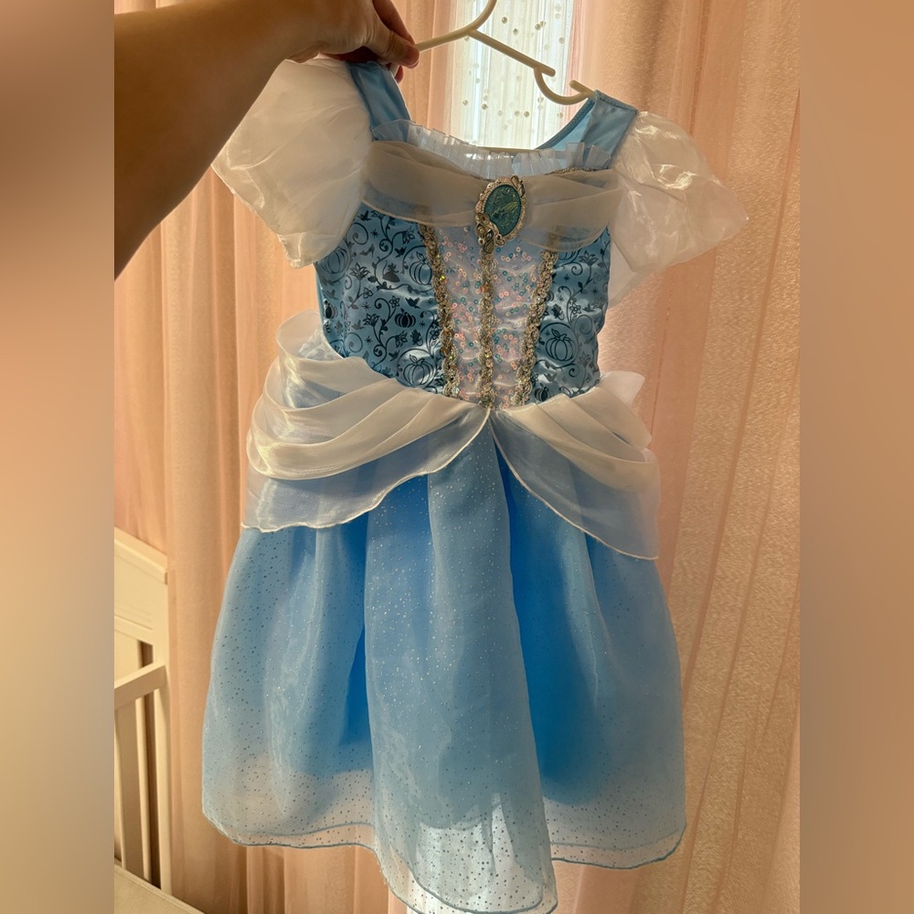Disney Princess Dress
